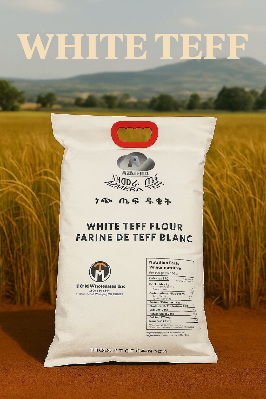 White Teff - Azmera