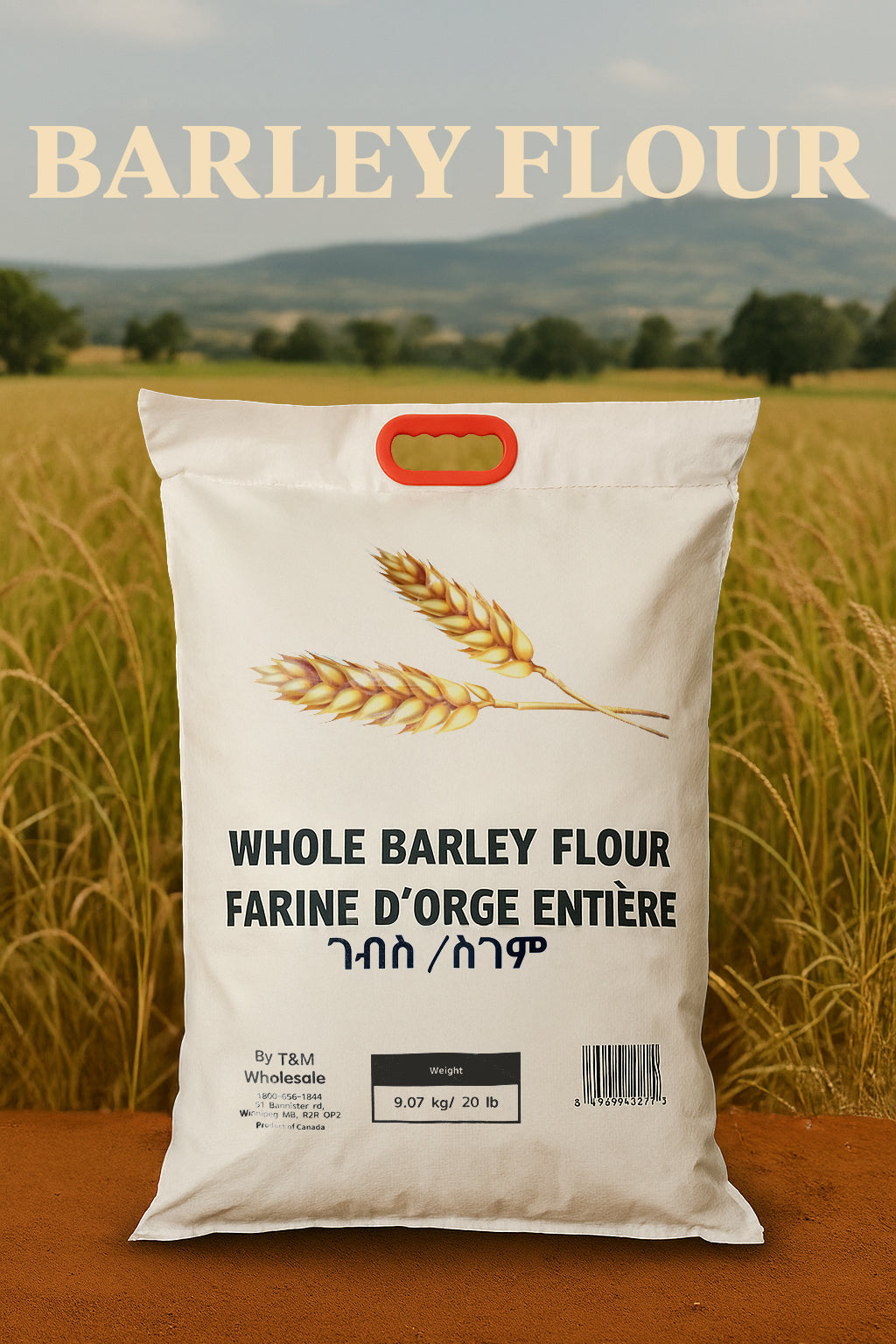 Barley